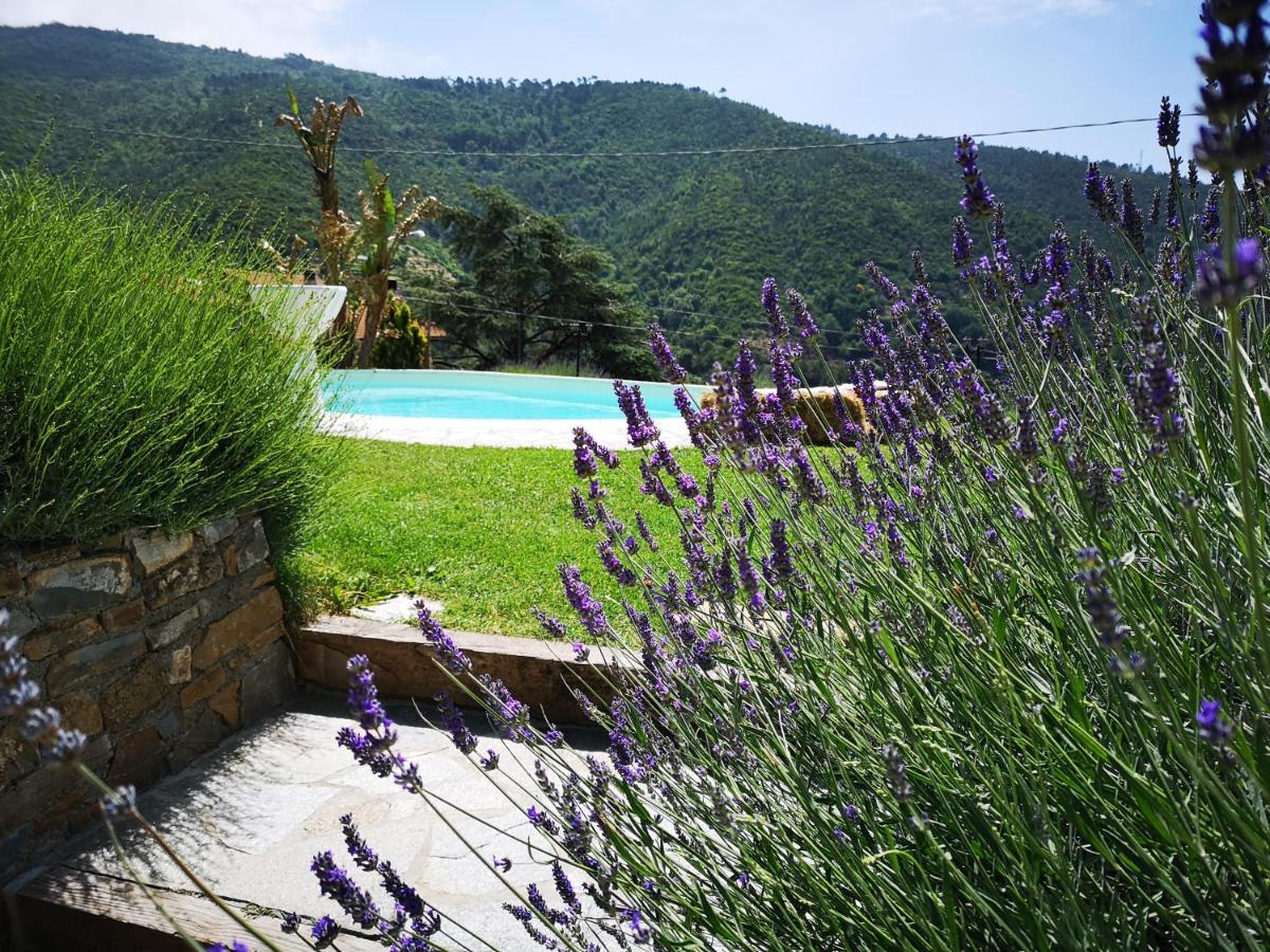 Agriturismo Ca Due Nonu Vallebona Luaran gambar